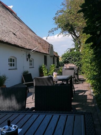 Gemütlicher Außenbereich mit Tischen und Stühlen, umgeben von Pflanzen und einem sonnigen Himmel.