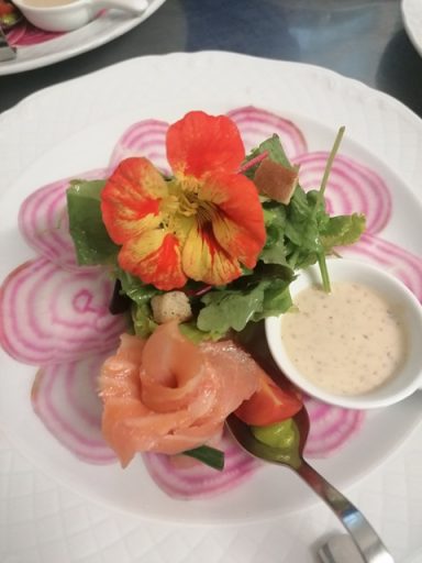 Salat mit Lachs, Dressing und essbarer Blüte auf einem farbenfrohen Teller.